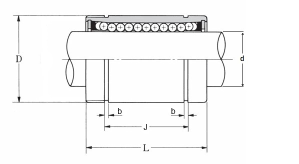 L 10